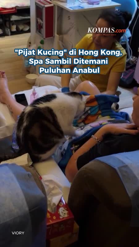 "Pijat Kucing" Di Hong Kong, Spa Sambil Ditemani Puluhan Anabul