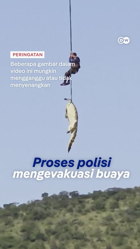 Proses Polisi Mengevakuasi Seekor Buaya