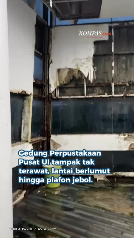 Viral Perpustakaannya Berlumut Dan Tak Terawat, UI Buka Suara