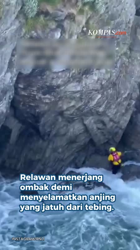 Terjang Ombak, Relawan Selamatkan Anjing Yang Tercebur Ke Laut