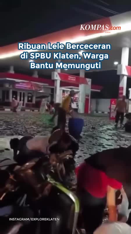 Ribuan Lele Berceceran Di SPBU Klaten, Warga Bantu Memunguti