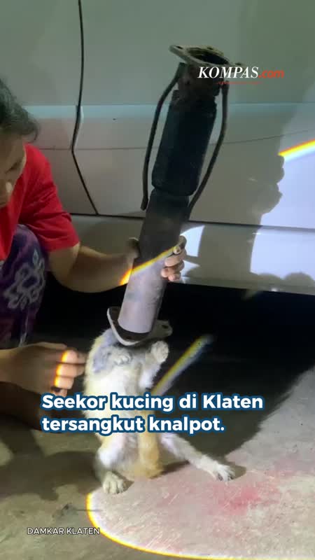 Kepala Kucing Tersangkut di Knalpot Bekas, Damkar Turun Tangan
