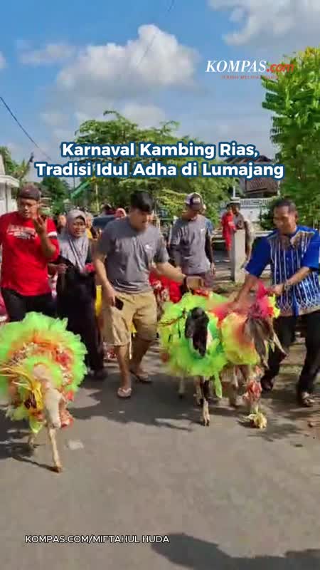 Karnaval Kambing Rias, Tradisi Idul Adha Di Lumajang