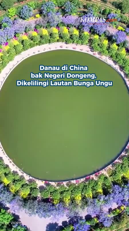 Danau di China bak Negeri Dongeng, Dikelilingi Lautan Bunga Ungu