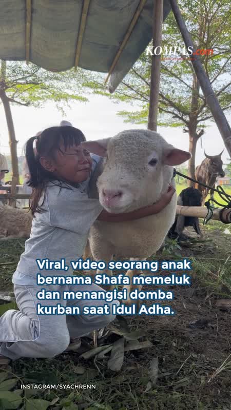 Bocah di Bekasi Menangis Lepas "Jyno", Domba Imut yang Dikurbankan
