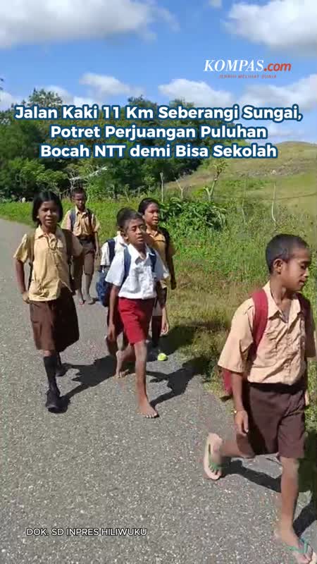 Jalan Kaki 11 Km Seberangi Sungai, Potret Perjuangan Puluhan Bocah NTT Demi Bisa Sekolah