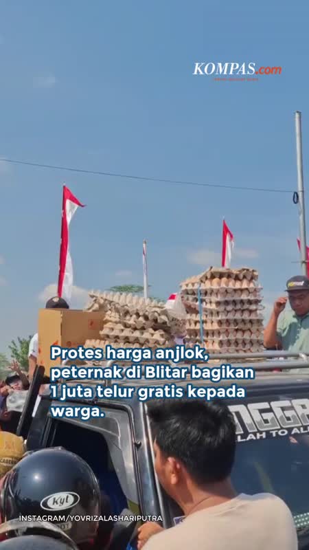 Peternak Blitar Bagikan 1 Juta Telur Gratis, Protes Harga Anjlok Dan Pakan Mahal