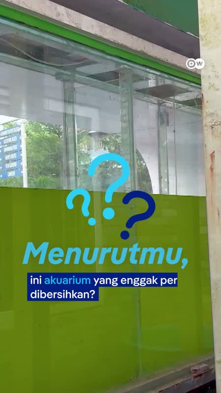 Bisakah Alga Membersihkan Udara di Kota?