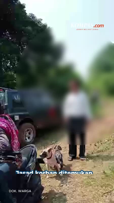 Bocah Tewas Diserang Anjing Pemburu Babi di Jasinga Bogor