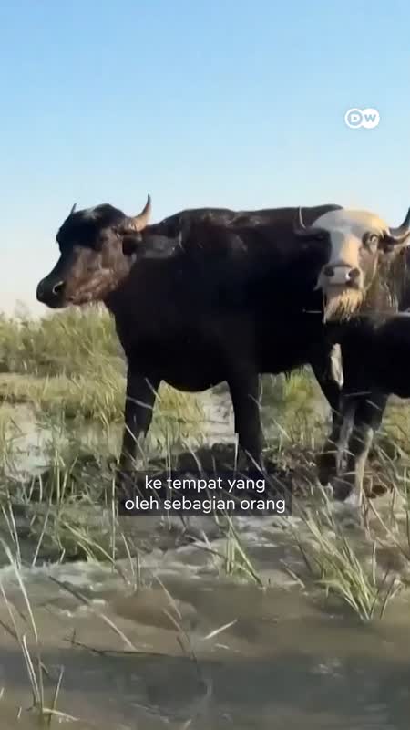 “Taman Eden” Mekar Kembali