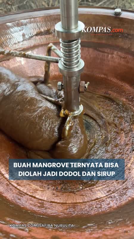 Mangrove di Pekalongan Tak Cuma Cegah Abrasi, Buahnya Jadi Dodol dan Sirup