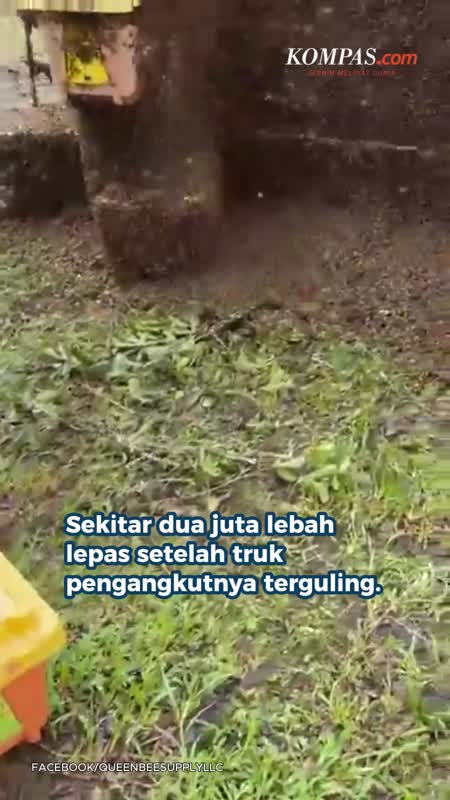 2 Juta Lebah 