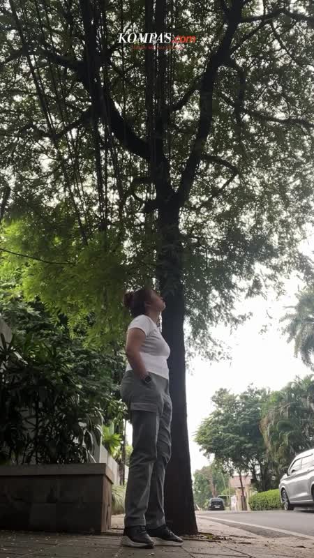 Kenapa Belanda Dulu Banyak Menanam Pohon Asam Jawa di Pinggir Jalan?