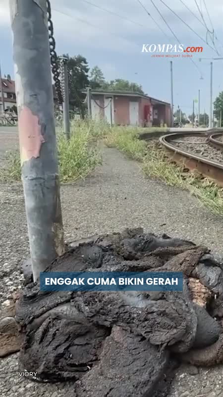 Saat Gelombang Panas Lumpuhkan Eropa, Jalur Trem Meleleh, Telan 1.300 Korban Jiwa