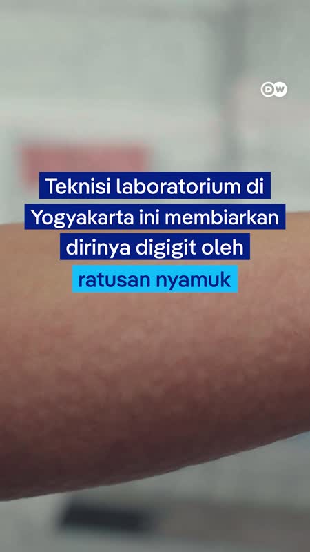Ternyata Ada Nyamuk Yang ‘Baik’?