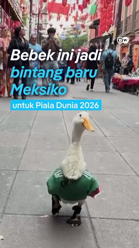 Merlin, Bintang Baru Piala Dunia 2026
