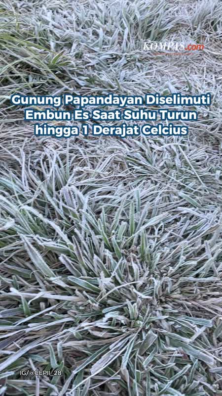 Gunung Papandayan Diselimuti Embun Es Saat Suhu Turun Hingga 1 Derajat Celcius