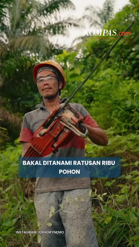 Jerhemy Owen Kembalikan Hutan Sumatera, Tanam Pohon Di Lahan Sawit Ilegal
