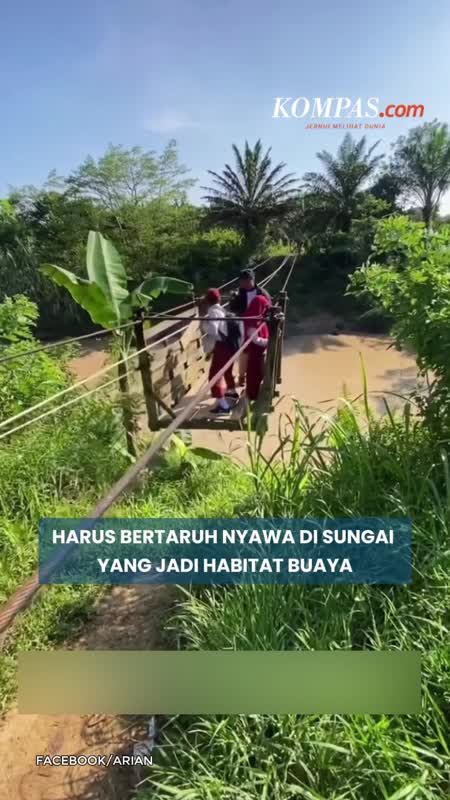 Demi Sekolah, Murid SD Di Kutai Naik Kereta Gantung Seberangi Sungai Habitat Buaya