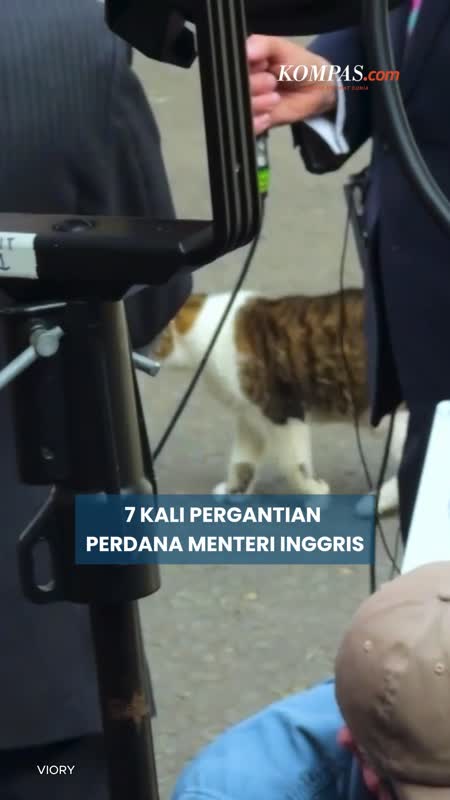 Larry Si Pemburu Tikus, 7 Kali Jadi Saksi Pergantian PM Inggris