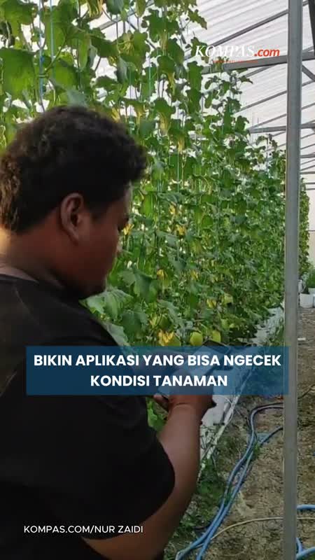 Inovasi Petani Muda di Demak: Tanaman Bisa Dipantau 24 Jam dari HP