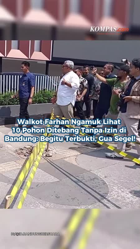 Walkot Farhan Ngamuk Lihat 10 Pohon Ditebang Tanpa Izin di Bandung: Begitu Terbukti, Gua Segel!