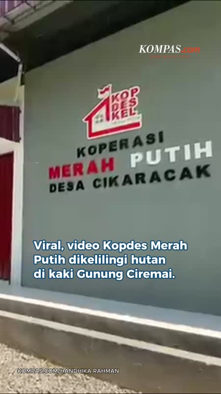 Viral Kopdes Dikelilingi Hutan Di Kaki Gunung Ciremai, Ini Faktanya