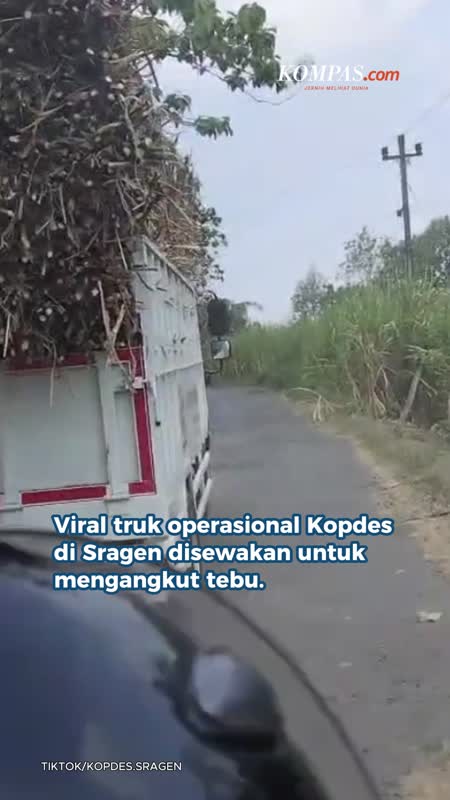 Ketua Kopdes Merah Putih Sragen Sewakan Truk untuk Angkut Tebu, Camat: Dia Sebenarnya Kreatif