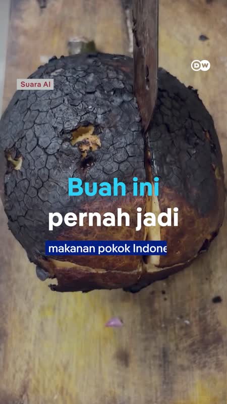 Buah Sukun Jadi “superfood” Indonesia Di Masa Depan?
