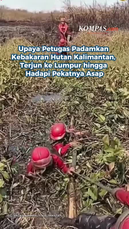 Upaya Manggala Agni Dan Tim Berjuang Padamkan Kebakaran Hutan Di Kalimantan