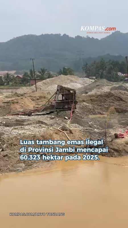 Tambang Emas Ilegal Beroperasi Terang-terangan Di Jambi, Luasnya Nyaris 6 Kali Kota Bogor