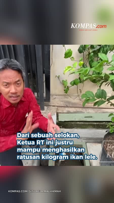 Ketua RT Duren Sawit Raup Rezeki dari Ikan-Ikan Lele di Selokan