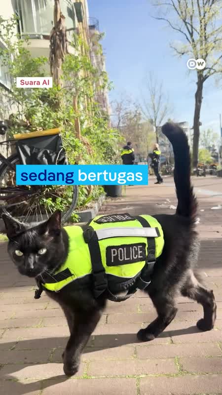 Kucing Polisi Amsterdam