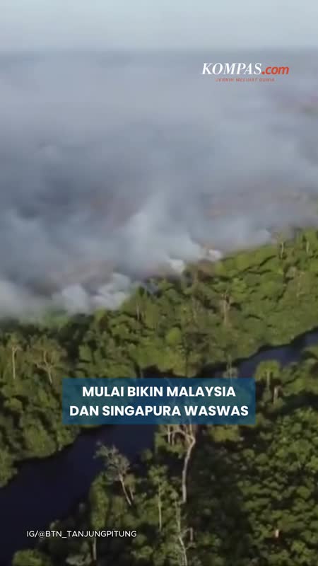 Malaysia-Singapura Mulai Deg-degan dengan Karhutla di Indonesia
