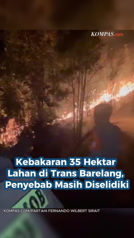 Kebakaran 35 Hektar Lahan Di Trans Barelang, Penyebab Masih Diselidiki