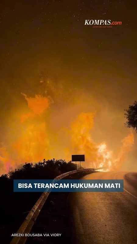 Presiden Aljazair Minta Pembakar Hutan Dihukum Mati