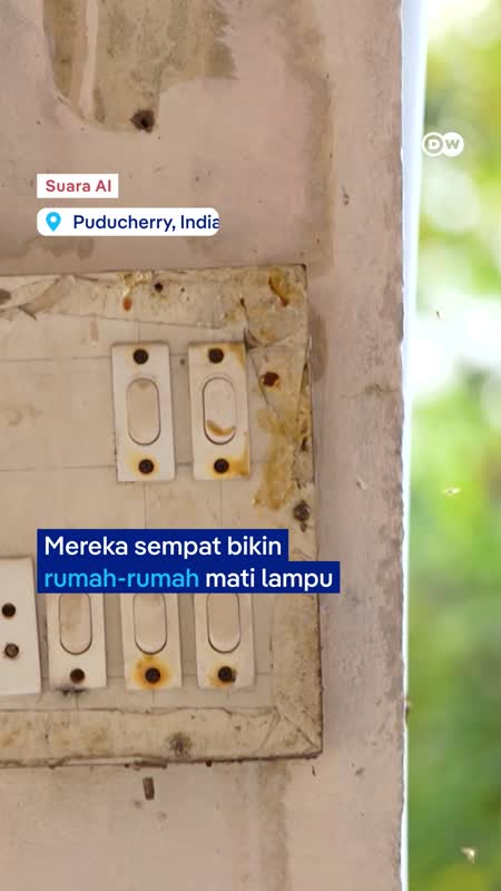 Hotel Untuk Lebah?