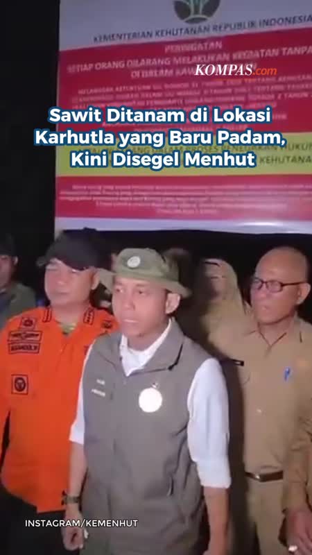 Sawit Ditanam di Lokasi Karhutla yang Baru Padam, Kini Disegel Menhut