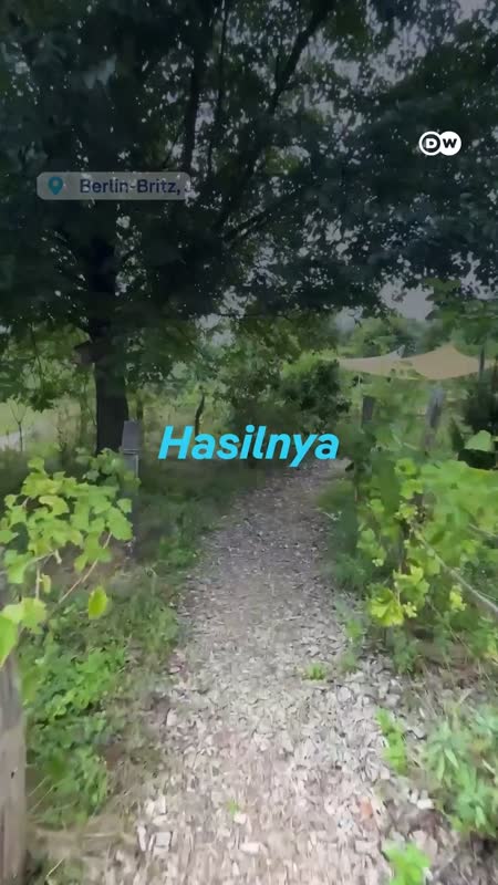 Hutan Ini Menghasilkan Makanan