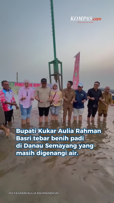 Viral Bupati Kukar Tebar Benih Padi di Danau Semayang, Dinas: Tradisi Lokal