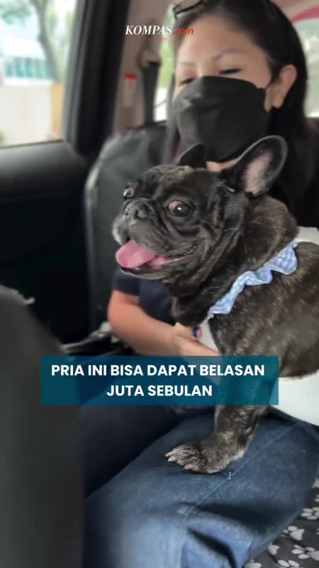 Dulu Nganter Orang, Sekarang Nganter Anjing Malah Lebih Cuan!