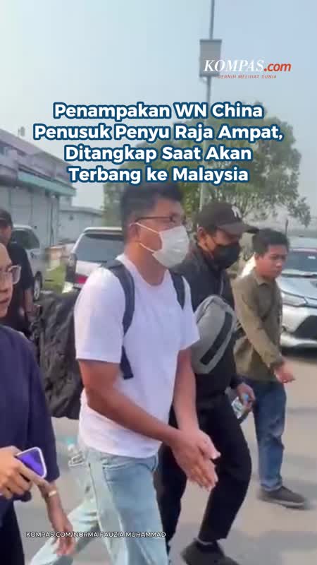 Penampakan WN China Penusuk Penyu Raja Ampat, Ditangkap Saat Akan Terbang Ke Malaysia