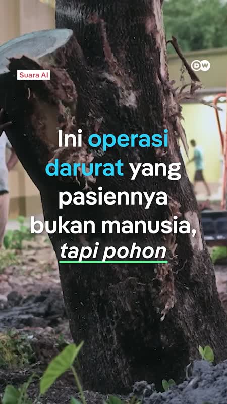 Ambulans Ini Menolong Pohon