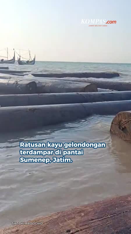Ratusan Kayu Besar Terdampar Di Pantai Sumenep Hingga Rusak Perahu Nelayan