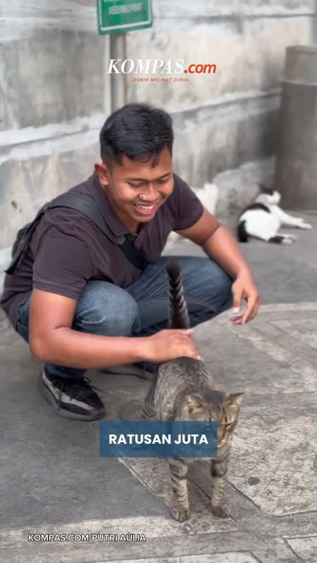 Tinggalkan Usaha Ratusan Juta, Pria Ini Malah Beri Makan Kucing Jalanan