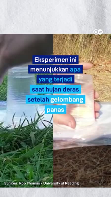 Tanah Ternyata Berperan Mengendalikan Suhu di Sekitar Kita