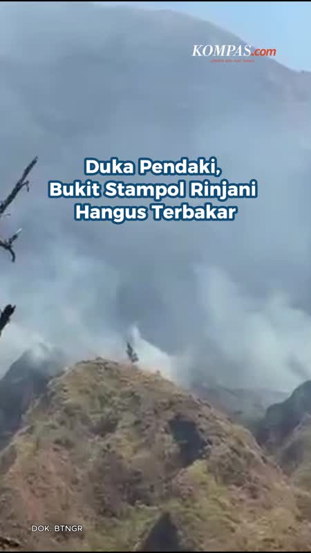 Duka Pendaki, Bukit Stampol Rinjani Hangus Terbakar