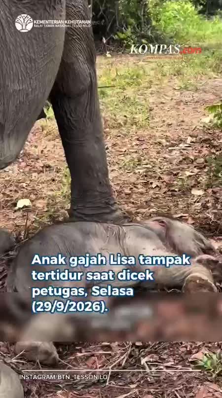 Comelnya Baby Boy Tidur Siang Di Dekat Mama Lisa