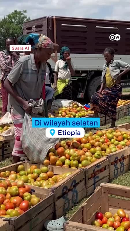 Petani di Afrika Ini Kini Tak Lagi Bergantung pada Diesel