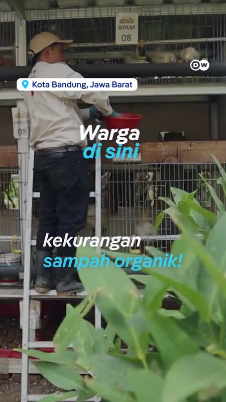 Gara-gara ‘Apartemen Ayam’, Warga Di Sini Kekurangan Sampah
